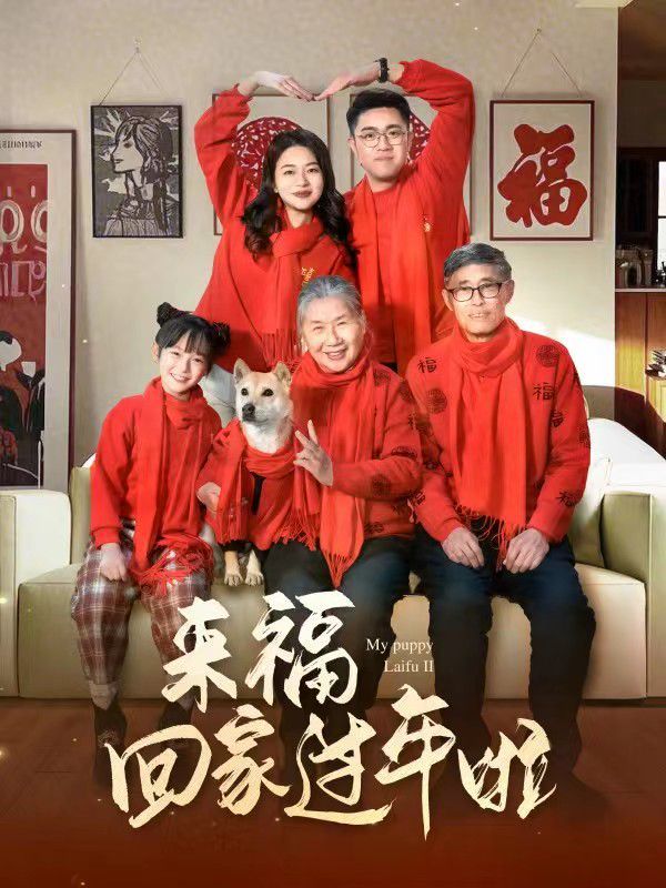 來?；丶疫^年啦(全集)