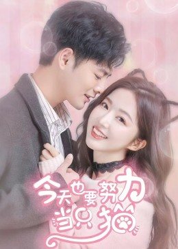 今天也要努力當只貓