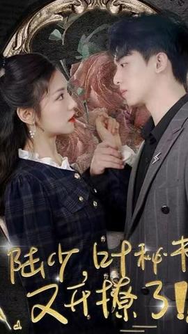 陸少，葉秘書又開撩了(全集)