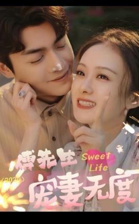 傅先生寵妻無度(全集)