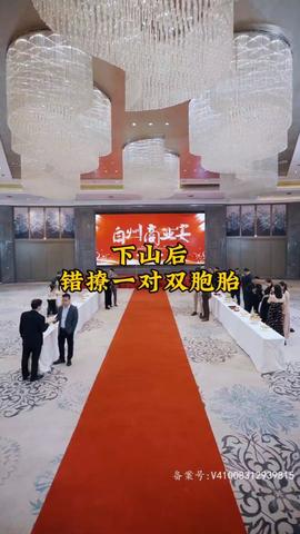 下山后，錯(cuò)撩一對雙胞胎(全集)