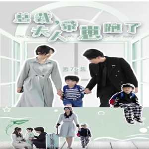 總裁，夫人帶崽跑了(全集)