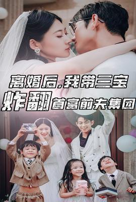 離婚后，我?guī)龑氄ǚ赘磺胺蚣瘓F(全集)