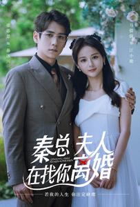 秦總，夫人在找你離婚(全集)