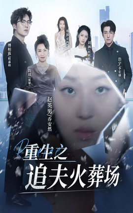 重生之追夫火葬場(全集)