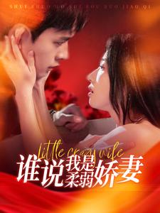 誰(shuí)說(shuō)我是柔弱嬌妻(全集)