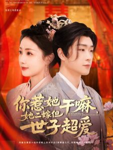 你惹她干嘛，她二嫁但世子超愛(ài)(全集)