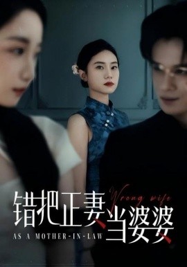 錯把正妻當婆婆(全集)