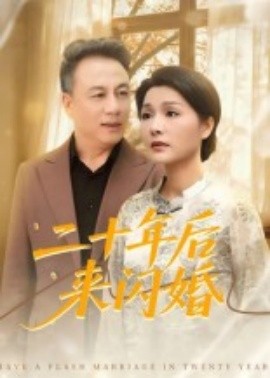 二十年后來(lái)閃婚(全集)