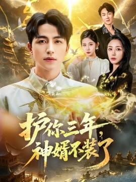 護(hù)你三年，神婿不裝了(全集)