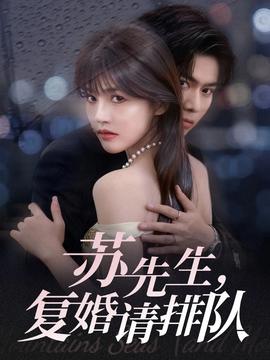 蘇先生，復(fù)婚請排隊(duì)(全集)