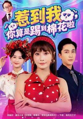 惹到我，你算是踢到棉花啦(全集)