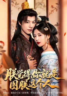 朕覺得，你就是圖朕這個(gè)人(全集)
