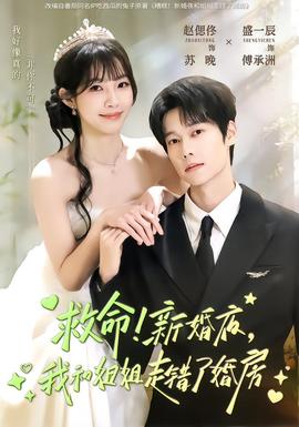 救命！新婚夜，我和姐姐走錯(cuò)了婚房(全集)