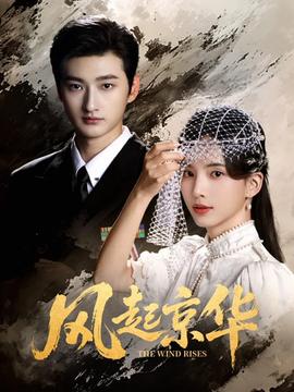 風起京華(全集)