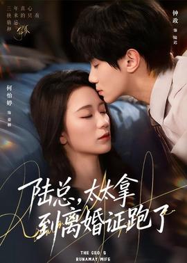 陸總，太太拿到離婚證跑了(全集)