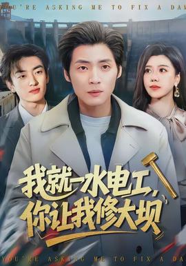 我就一水電工，你讓我修大壩(全集)