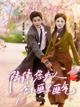 陸律，您夫人怎么匪里匪氣(全集)