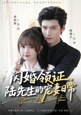 閃婚領證，陸先生的寵妻日常(全集)