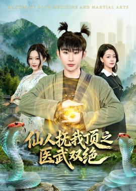 仙人撫我頂之醫(yī)武雙絕(全集)